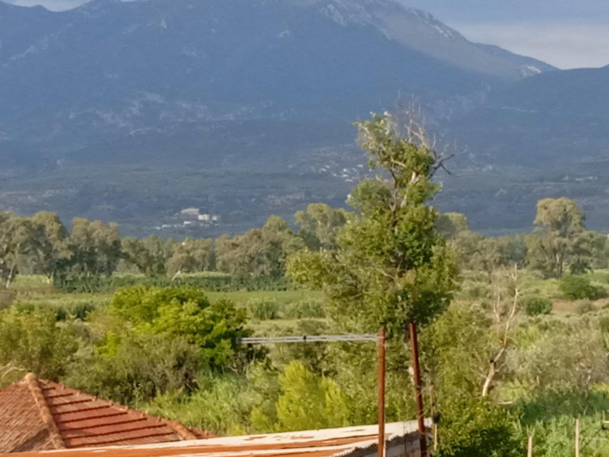 Info στούντιο